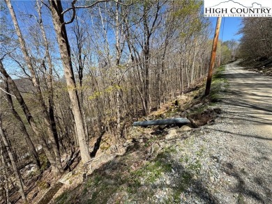 FOUR lots with beautiful seasonal and potential year-round views on Beech Mountain Club in North Carolina - for sale on GolfHomes.com, golf home, golf lot