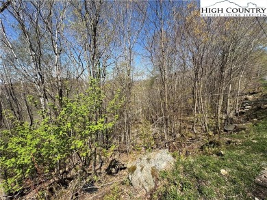 FOUR lots with beautiful seasonal and potential year-round views on Beech Mountain Club in North Carolina - for sale on GolfHomes.com, golf home, golf lot