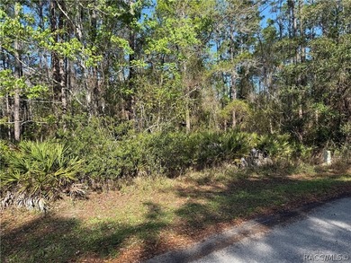 Beautiful 0.27-acre estate-sized lot located on a quiet on Sugarmill Woods Golf and Country Club in Florida - for sale on GolfHomes.com, golf home, golf lot