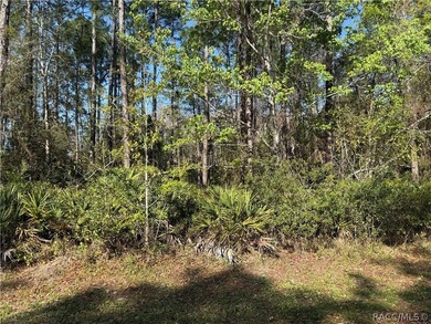 Beautiful 0.27-acre estate-sized lot located on a quiet on Sugarmill Woods Golf and Country Club in Florida - for sale on GolfHomes.com, golf home, golf lot