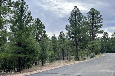 BUILT YOUR DREAM CABIN ON THIS INCREDIBLE GATED .64 ACRE TREE on Torreon Golf Club in Arizona - for sale on GolfHomes.com, golf home, golf lot