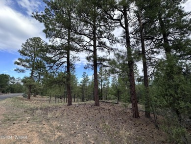 BUILT YOUR DREAM CABIN ON THIS INCREDIBLE GATED .64 ACRE TREE on Torreon Golf Club in Arizona - for sale on GolfHomes.com, golf home, golf lot