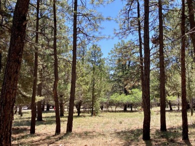Have you ever noticed that sometimes you can pass over a unique on The Divide Ranch and Club in Colorado - for sale on GolfHomes.com, golf home, golf lot
