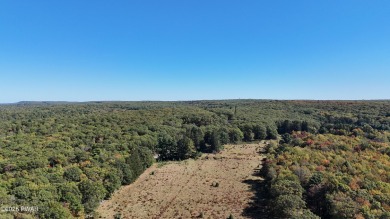 Nestled along Shiny Mountain Road, this expansive 46-acre on  in Pennsylvania - for sale on GolfHomes.com, golf home, golf lot