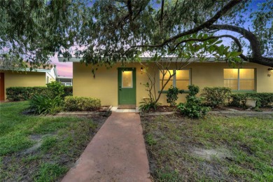 Sunshine is calling your name! It is time to enjoy REAL Florida on Kings Point Executive Golf Course in Florida - for sale on GolfHomes.com, golf home, golf lot