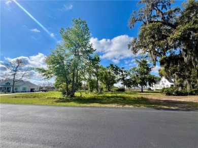 Check Out The Views From This Wonderful Marsh-Front Homesite (1 on Sapelo Hammock Golf Club in Georgia - for sale on GolfHomes.com, golf home, golf lot
