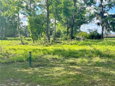Check Out The Views From This Wonderful Marsh-Front Homesite (1 on Sapelo Hammock Golf Club in Georgia - for sale on GolfHomes.com, golf home, golf lot