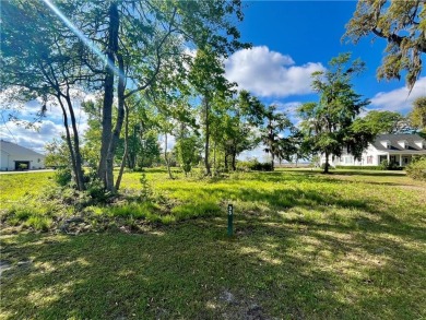 Check Out The Views From This Wonderful Marsh-Front Homesite (1 on Sapelo Hammock Golf Club in Georgia - for sale on GolfHomes.com, golf home, golf lot