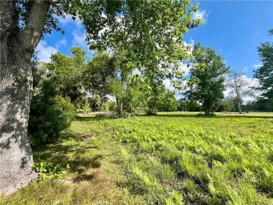 Check Out The Views From This Wonderful Marsh-Front Homesite (1 on Sapelo Hammock Golf Club in Georgia - for sale on GolfHomes.com, golf home, golf lot
