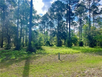 Almost a full acre (0.97) behind the gates of Cooper's Point on Sapelo Hammock Golf Club in Georgia - for sale on GolfHomes.com, golf home, golf lot