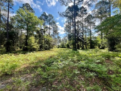 Almost a full acre (0.97) behind the gates of Cooper's Point on Sapelo Hammock Golf Club in Georgia - for sale on GolfHomes.com, golf home, golf lot