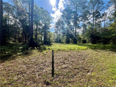 Almost a full acre (0.97) behind the gates of Cooper's Point on Sapelo Hammock Golf Club in Georgia - for sale on GolfHomes.com, golf home, golf lot