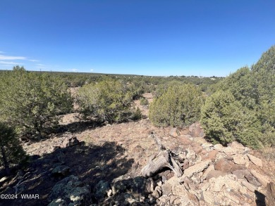 Discover the perfect canvas for your dream home! This stunning on Silver Creek Golf Club in Arizona - for sale on GolfHomes.com, golf home, golf lot