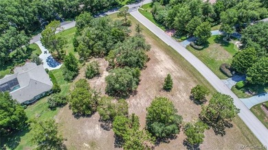RARE OPPORTUNITY to own a premier estate homesite in the on Black Diamond Ranch Golf Course in Florida - for sale on GolfHomes.com, golf home, golf lot