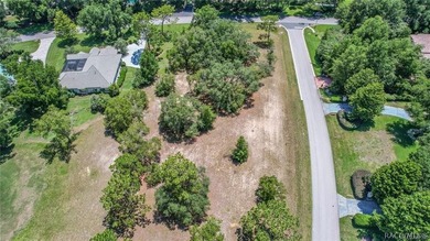 RARE OPPORTUNITY to own a premier estate homesite in the on Black Diamond Ranch Golf Course in Florida - for sale on GolfHomes.com, golf home, golf lot