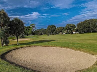 GOLF COURSE WITH GREAT VIEWS AND A STUNNING HOME LOCATED ON A on Eagle Ridge At Spruce Creek Country Club in Florida - for sale on GolfHomes.com, golf home, golf lot