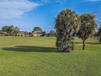 GOLF COURSE WITH GREAT VIEWS AND A STUNNING HOME LOCATED ON A on Eagle Ridge At Spruce Creek Country Club in Florida - for sale on GolfHomes.com, golf home, golf lot