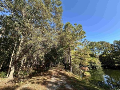 This 20 acre property is one of the last multi-acre tracts in on Players Course At Wyboo Plantation in South Carolina - for sale on GolfHomes.com, golf home, golf lot