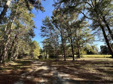 This 20 acre property is one of the last multi-acre tracts in on Players Course At Wyboo Plantation in South Carolina - for sale on GolfHomes.com, golf home, golf lot