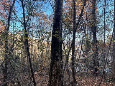 Lot located in Mountain Harbour, a beautiful gated golf on Chatuge Shores Golf Course in North Carolina - for sale on GolfHomes.com, golf home, golf lot