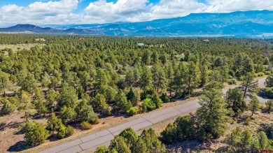 Diana M Atha Team, Keller Williams Colorado West Realty, C: on The Divide Ranch and Club in Colorado - for sale on GolfHomes.com, golf home, golf lot