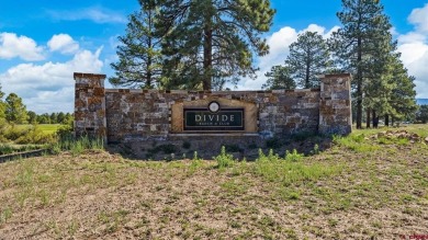 Diana M Atha Team, Keller Williams Colorado West Realty, C: on The Divide Ranch and Club in Colorado - for sale on GolfHomes.com, golf home, golf lot