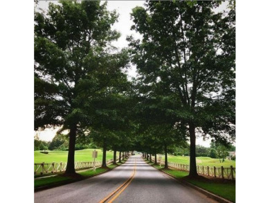 This stunning home seamlessly blends comfort and charm with on Hampton Golf Village in Georgia - for sale on GolfHomes.com, golf home, golf lot