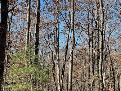 Lots 69J, 70J, 71J, 74J are located in Mountain Harbour, a on Chatuge Shores Golf Course in North Carolina - for sale on GolfHomes.com, golf home, golf lot