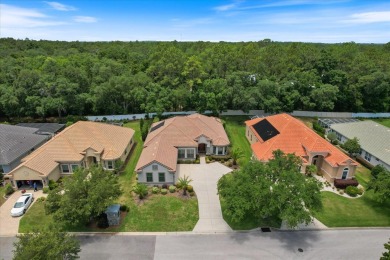 Everything the discerning buyer could wish for! Located in the on Skyview At Terra Vista Golf and Country Club in Florida - for sale on GolfHomes.com, golf home, golf lot