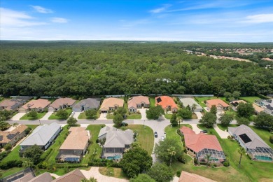 Everything the discerning buyer could wish for! Located in the on Skyview At Terra Vista Golf and Country Club in Florida - for sale on GolfHomes.com, golf home, golf lot