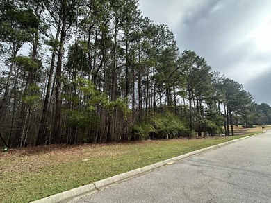 Nice building lot in Mount Vintage Plantation - Longstreet Place on Mount Vintage Plantation and Golf Club  in South Carolina - for sale on GolfHomes.com, golf home, golf lot