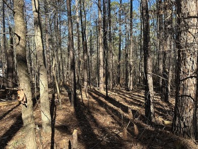 Nice building lot in Mount Vintage Plantation - Longstreet Place on Mount Vintage Plantation and Golf Club  in South Carolina - for sale on GolfHomes.com, golf home, golf lot