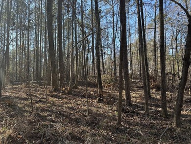 Nice building lot in Mount Vintage Plantation - Longstreet Place on Mount Vintage Plantation and Golf Club  in South Carolina - for sale on GolfHomes.com, golf home, golf lot