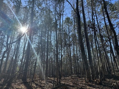 Nice building lot in Mount Vintage Plantation - Longstreet Place on Mount Vintage Plantation and Golf Club  in South Carolina - for sale on GolfHomes.com, golf home, golf lot
