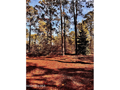 Beautiful golf front lot with transferable PCC Membership on The National Golf Club in North Carolina - for sale on GolfHomes.com, golf home, golf lot