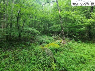 2 Prime building lots near the top of Sugar Mountain. These 2 on Sugar Mountain Golf Course in North Carolina - for sale on GolfHomes.com, golf home, golf lot