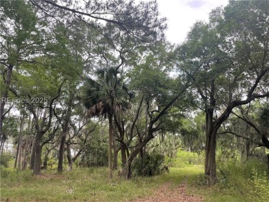 Come build your dream house on this truly beautiful lot on Belfair Golf Club in South Carolina - for sale on GolfHomes.com, golf home, golf lot