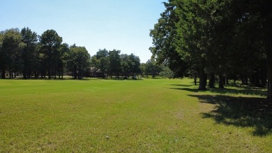 Executive-style home on the 15th Fairway of the prestigious on The Falls Resort and Club in Texas - for sale on GolfHomes.com, golf home, golf lot