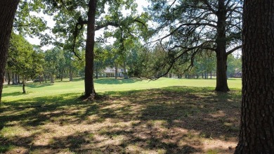 Executive-style home on the 15th Fairway of the prestigious on The Falls Resort and Club in Texas - for sale on GolfHomes.com, golf home, golf lot