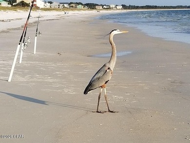 ATTENTION BUILDERS & INVESTORS! Located in an X Flood Zone! on  in Florida - for sale on GolfHomes.com, golf home, golf lot