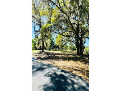 0.89 OF AN ACRE LOT IN AN X FLOOD ZONE (NO FLOOD INSURANCE on Sapelo Hammock Golf Club in Georgia - for sale on GolfHomes.com, golf home, golf lot