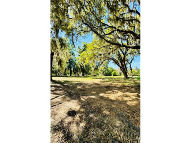 0.89 OF AN ACRE LOT IN AN X FLOOD ZONE (NO FLOOD INSURANCE on Sapelo Hammock Golf Club in Georgia - for sale on GolfHomes.com, golf home, golf lot