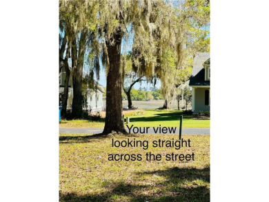 0.89 OF AN ACRE LOT IN AN X FLOOD ZONE (NO FLOOD INSURANCE on Sapelo Hammock Golf Club in Georgia - for sale on GolfHomes.com, golf home, golf lot