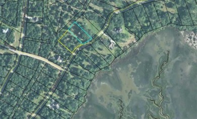 0.89 OF AN ACRE LOT IN AN X FLOOD ZONE (NO FLOOD INSURANCE on Sapelo Hammock Golf Club in Georgia - for sale on GolfHomes.com, golf home, golf lot