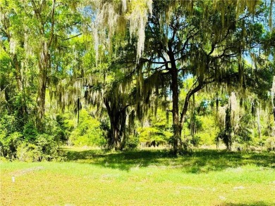 0.87 OF AN ACRE LOT IN AN X FLOOD ZONE (NO FLOOD INSURANCE on Sapelo Hammock Golf Club in Georgia - for sale on GolfHomes.com, golf home, golf lot