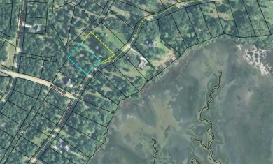 0.87 OF AN ACRE LOT IN AN X FLOOD ZONE (NO FLOOD INSURANCE on Sapelo Hammock Golf Club in Georgia - for sale on GolfHomes.com, golf home, golf lot