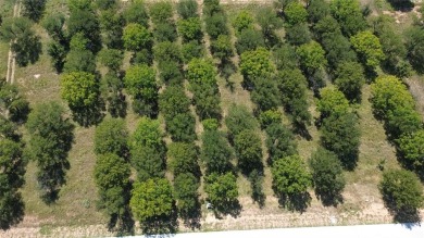 This rare, heavily wooded 1+ acre lot is one of the last on Pecan Plantation Country Club in Texas - for sale on GolfHomes.com, golf home, golf lot