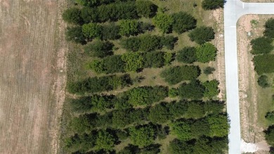 This rare, heavily wooded 1+ acre lot is one of the last on Pecan Plantation Country Club in Texas - for sale on GolfHomes.com, golf home, golf lot