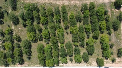 This rare, heavily wooded 1+ acre lot is one of the last on Pecan Plantation Country Club in Texas - for sale on GolfHomes.com, golf home, golf lot