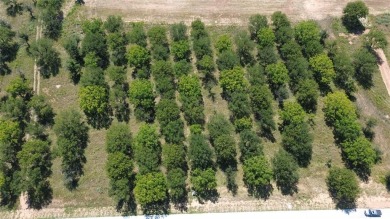 This rare, heavily wooded 1+ acre lot is one of the last on Pecan Plantation Country Club in Texas - for sale on GolfHomes.com, golf home, golf lot